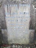 image of grave number 373096